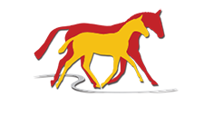 Elite Frozen Foals