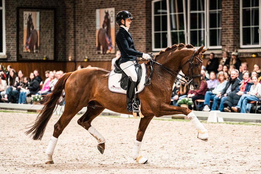 Vivaldos - Image 10